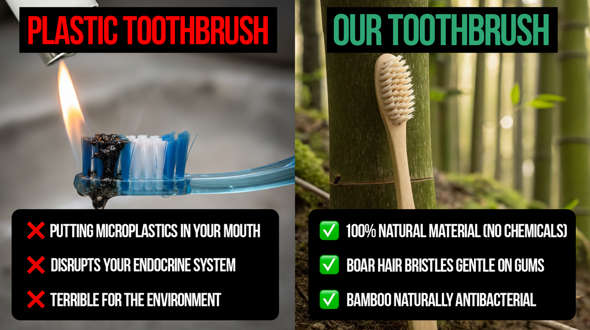 Boar Hair Bristle Bamboo Toothbrush (4 Pack)